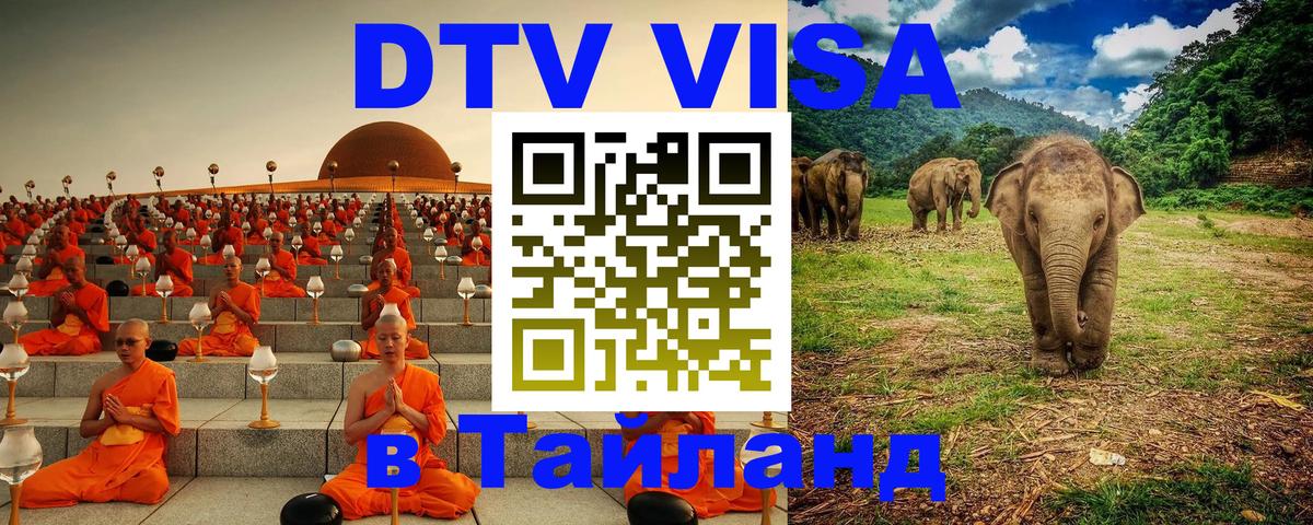 Сколько стоит DTV виза — актуальные цены, оформление даже без документов - Майкоп 